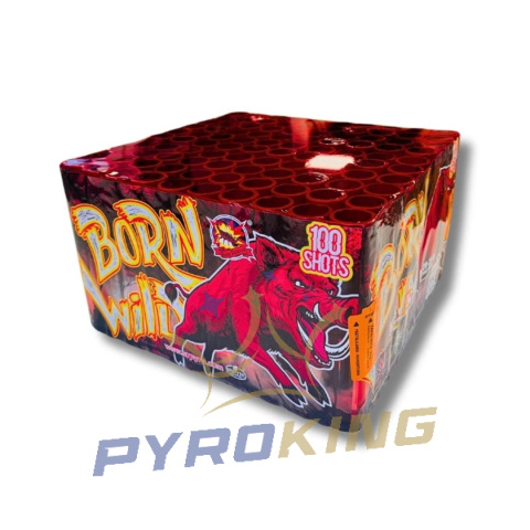 Born Wild 100 strzałów 25 mm CLE4137PL