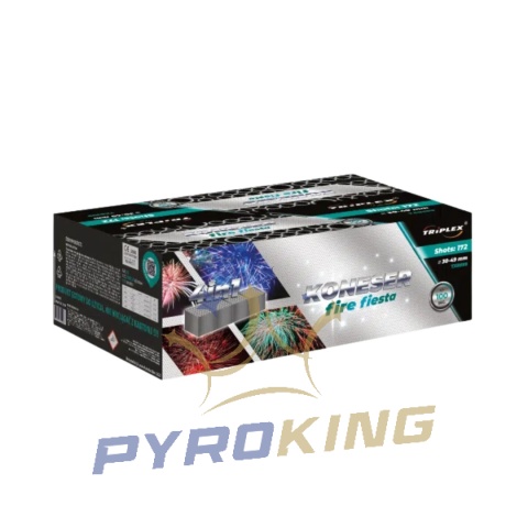 TXB599 KONESER FIRE FIESTA 172S